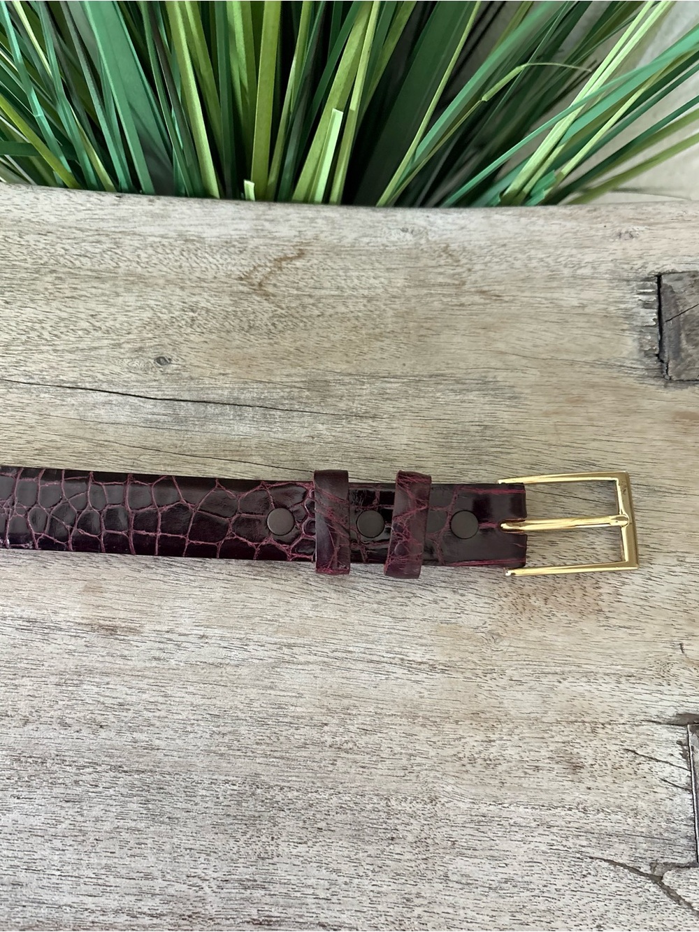 Crescent Wild Alligator Leather Belt with Gold Buckle - Picture 4 of 9